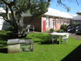 The jacaranda tree at Aranui rest home